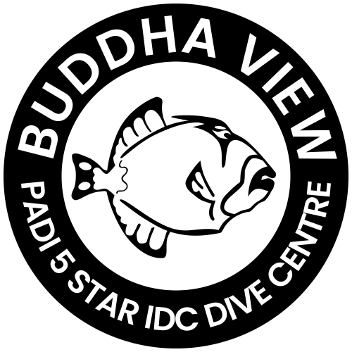 logo-Buddha-View-500x500